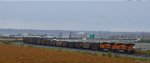 BNSF 4203/8134 trailing DPUs on a W/B loaded unit coal train rounding the curve through Fisher Siding and into Robert's Bank.